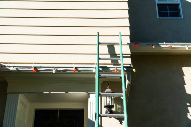 Best Fascia and Soffit Installation  in Smithton, IL