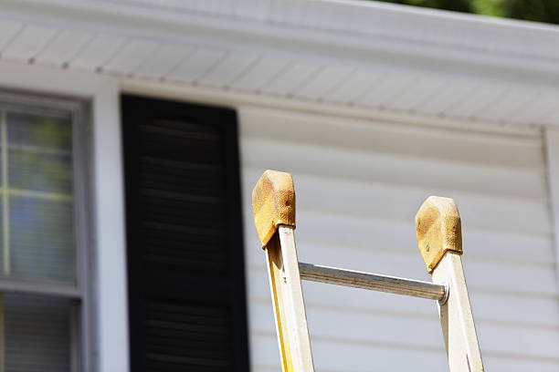 Best Custom Siding Design  in Smithton, IL